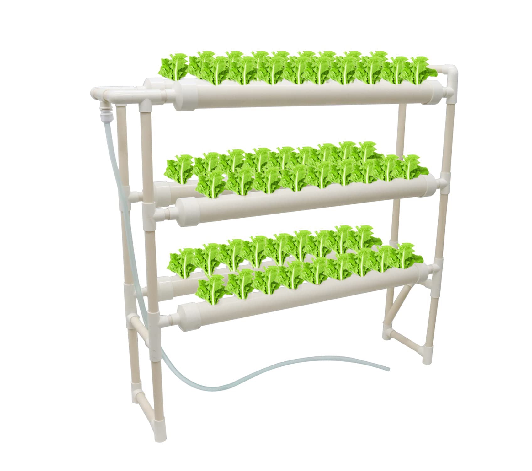 Hydroponic NFT System