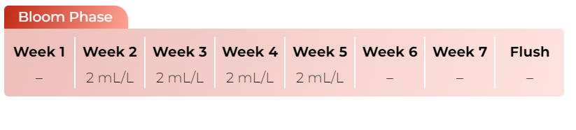 Big Bud Advanced Nutrients