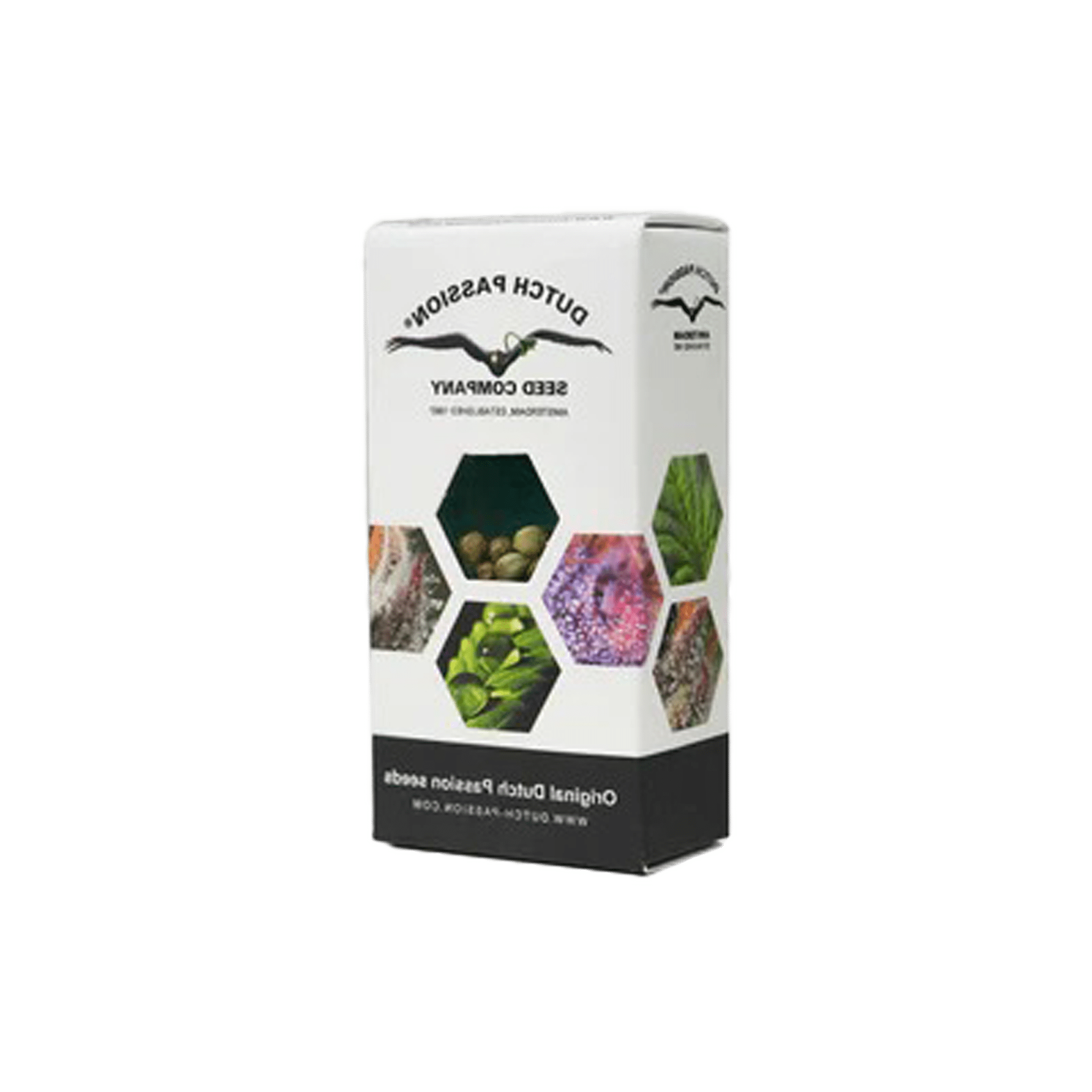 Auto Glueberry O.G.®