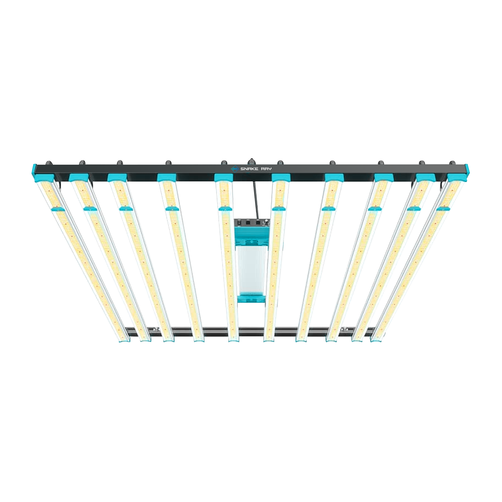 SR 1000 Led Light - SNAKE RAY