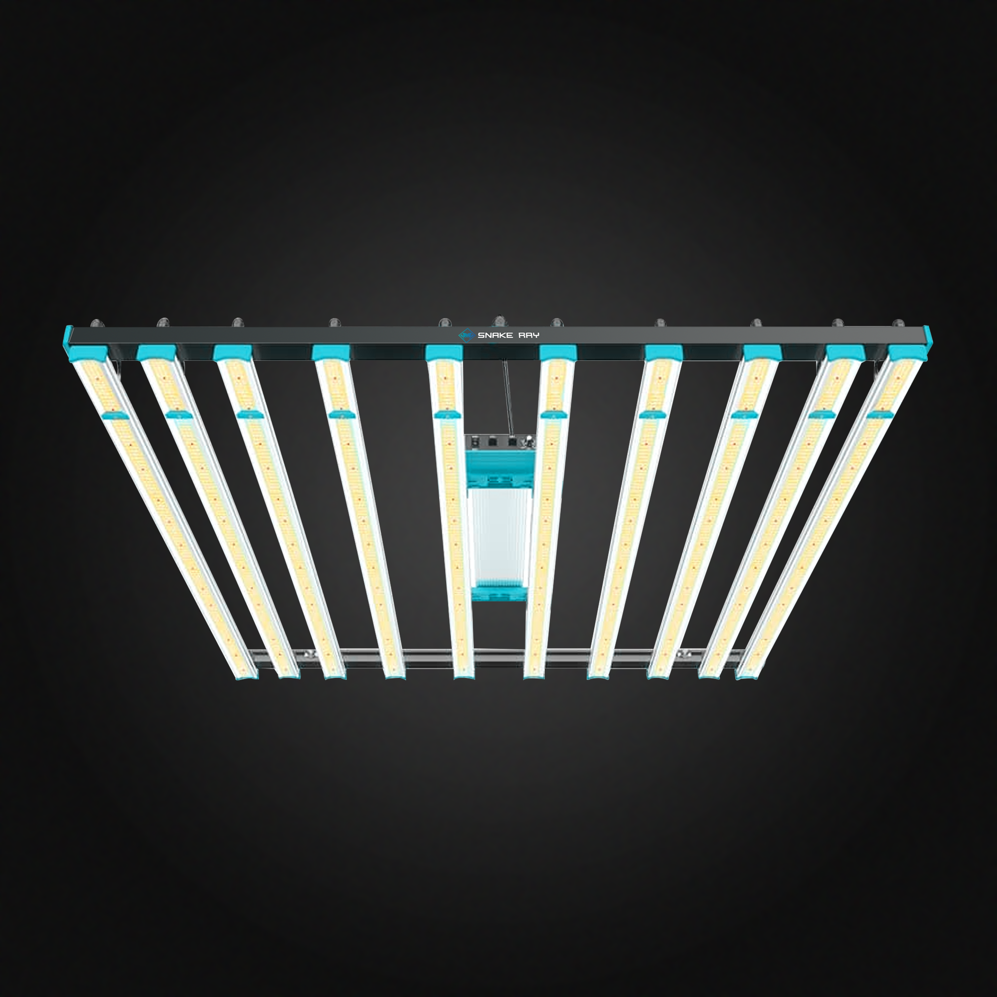ლედ განათება SR 1000 - SNAKE RAY