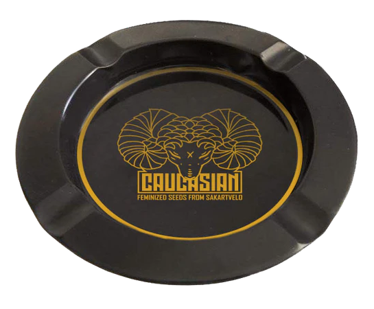 Caucasian Metal Ashtray