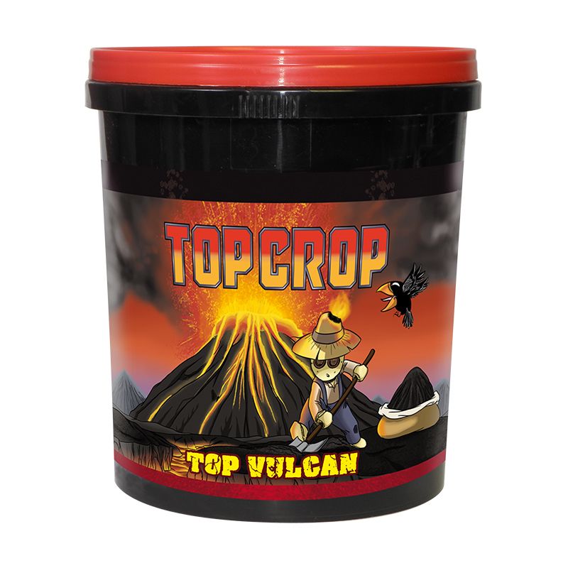 Top Vulcan