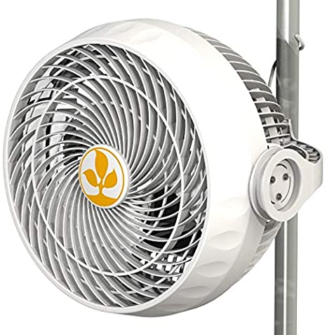 30W Fan