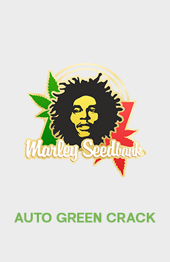 Auto Green Crack