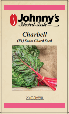 Swiss lettuce - Charbell