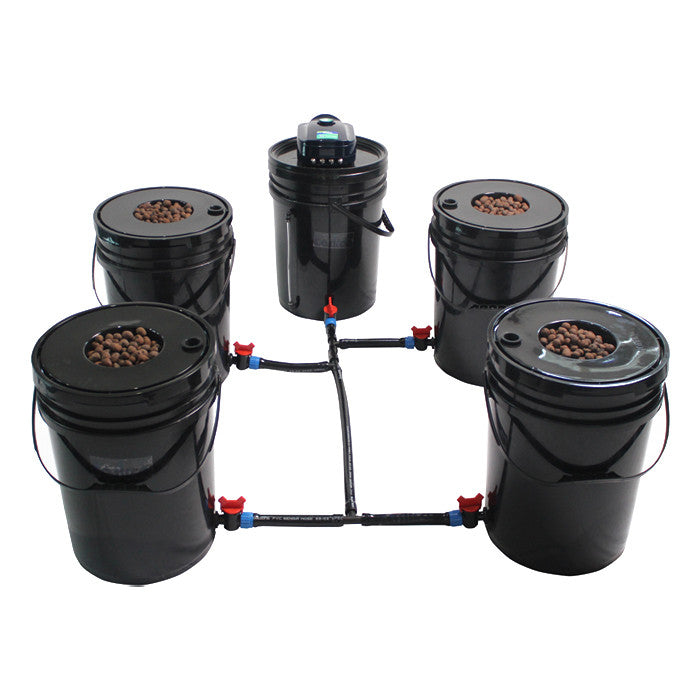 DWC 4 Tank Hydroponic System