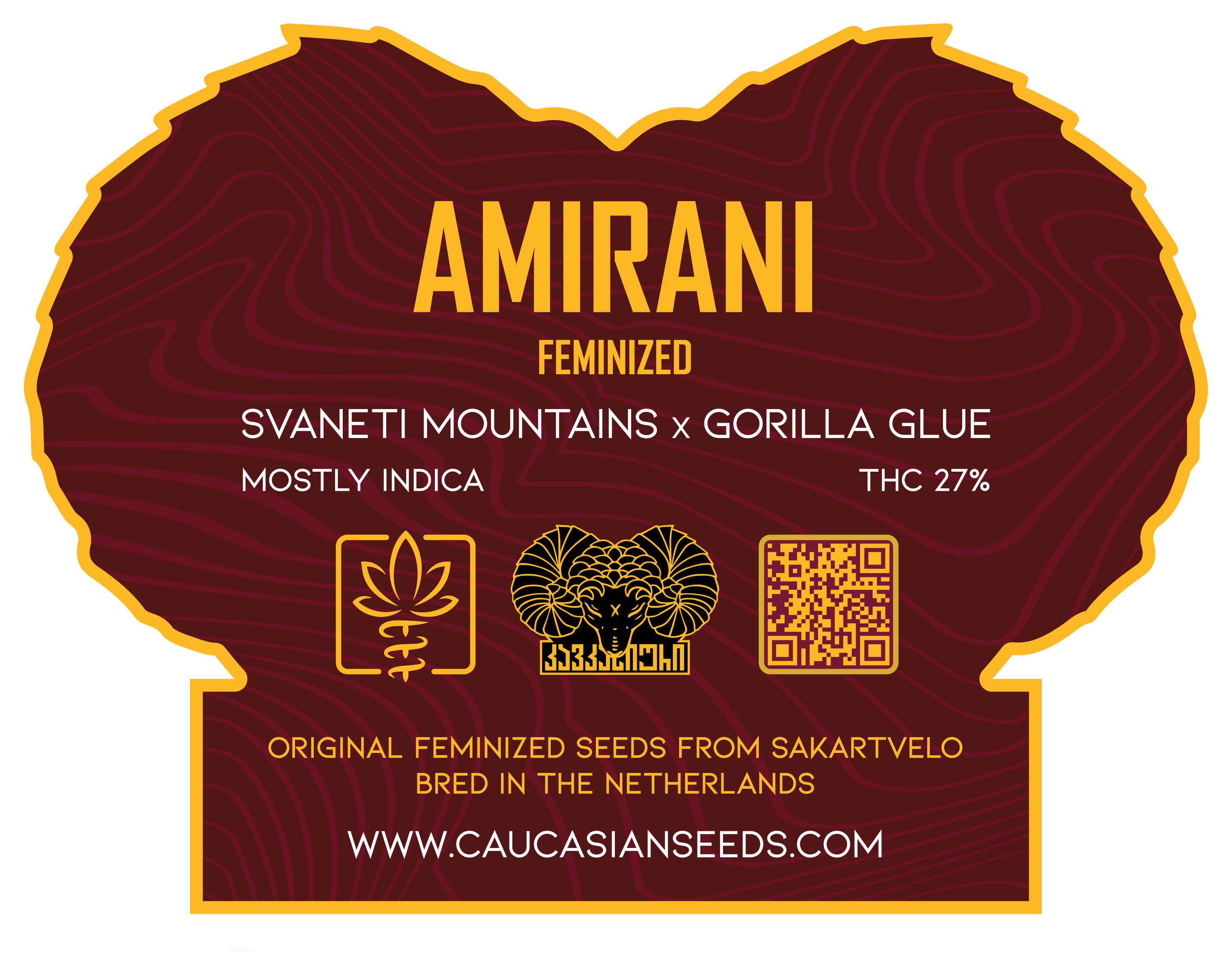 AMIRANI Feminized - ამირანი ფოტოპერიოდული