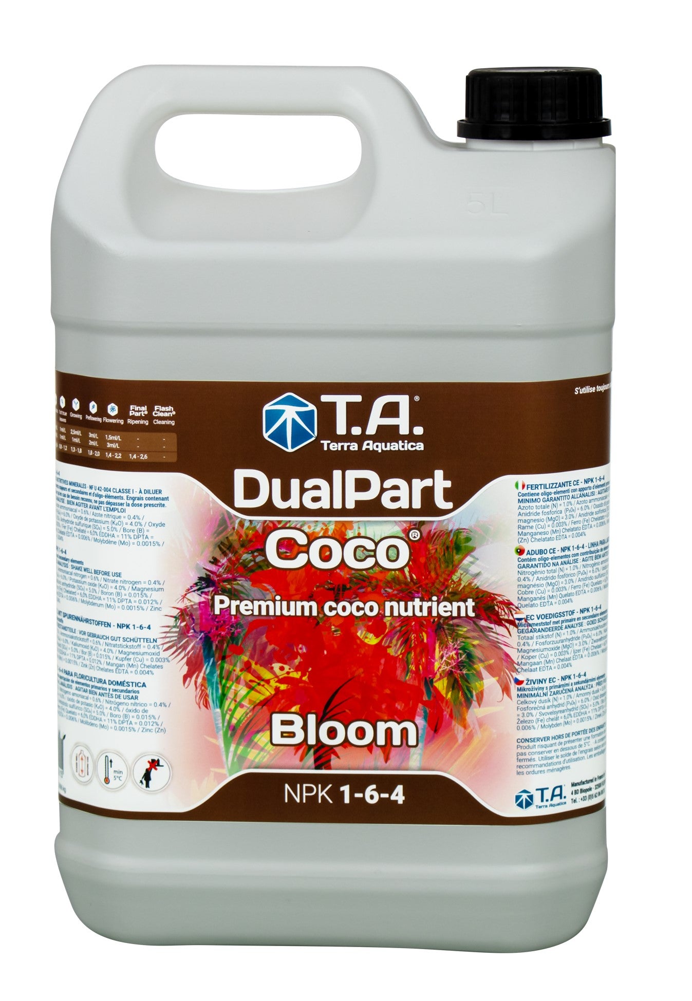 DualPart Coco Bloom - კოკო ბლუმი