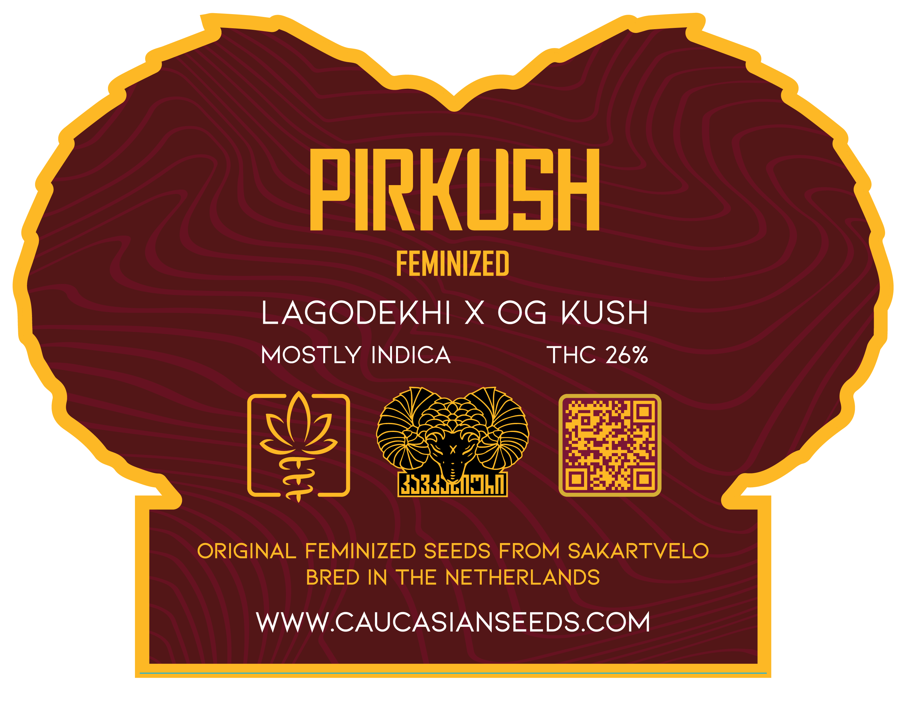 პირქუში ფოტოპერიოდული - PIRKUSH Feminized