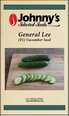 Cucumber General Lee