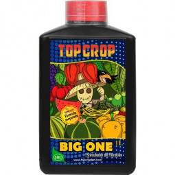 Big One