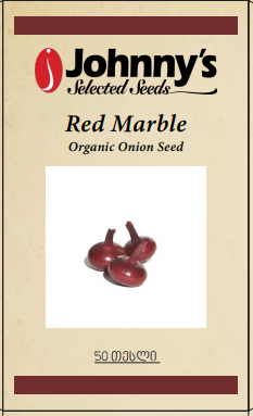 Onion - Red Marbel