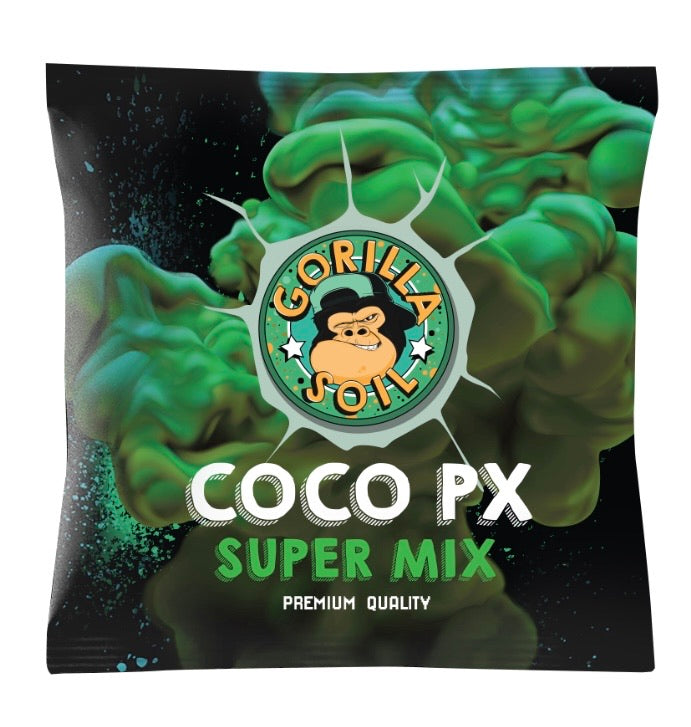 GORILLA COCO