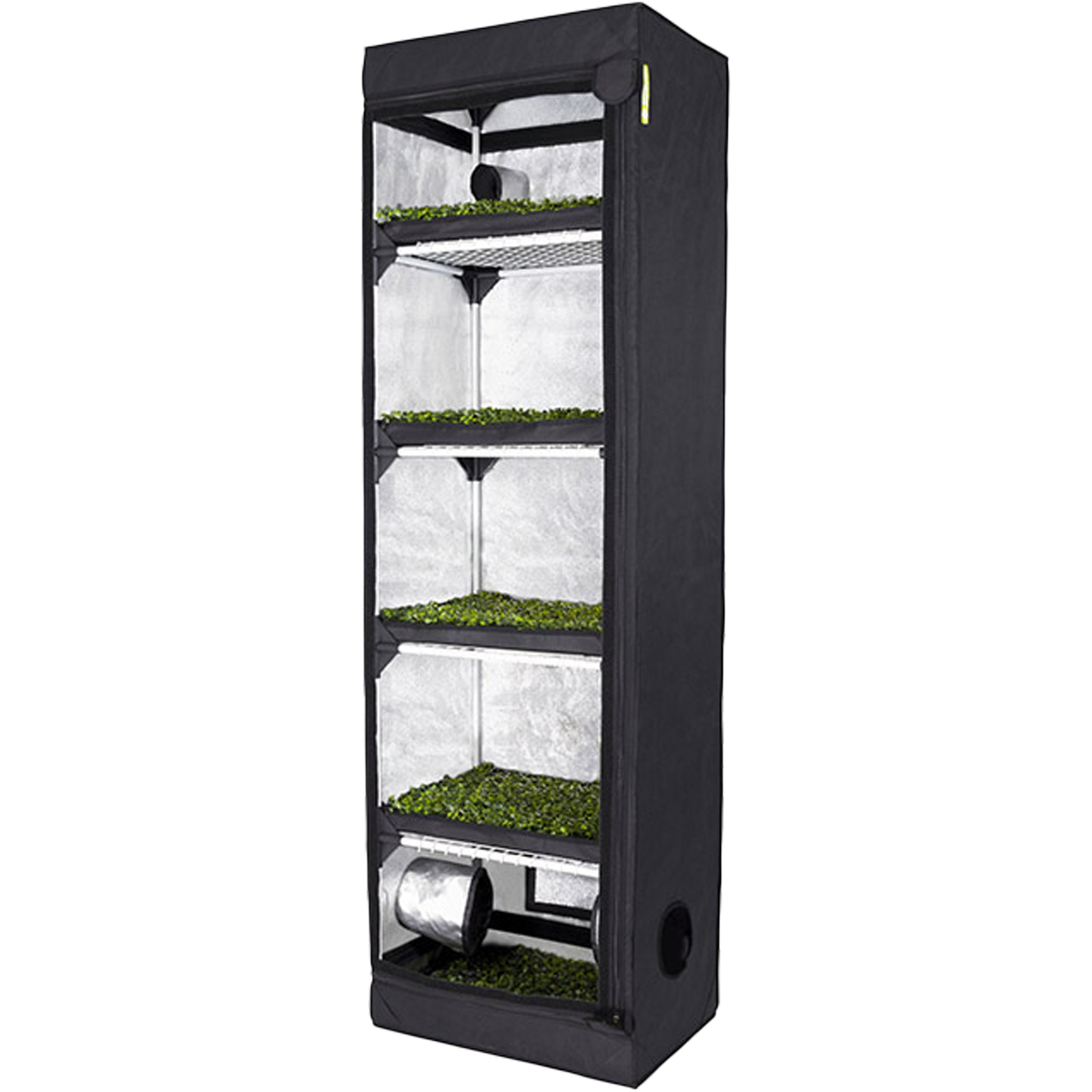 PROBOX PROPAGATOR