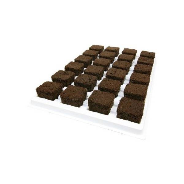 საჩითილე Root Riot