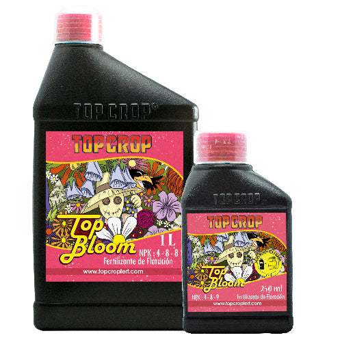 Top Bloom