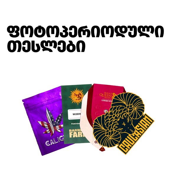 ფოტოპერიოდული კანაფის თესლები