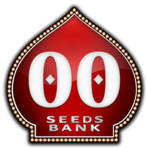 Afghan Mass Auto - 00 Seeds