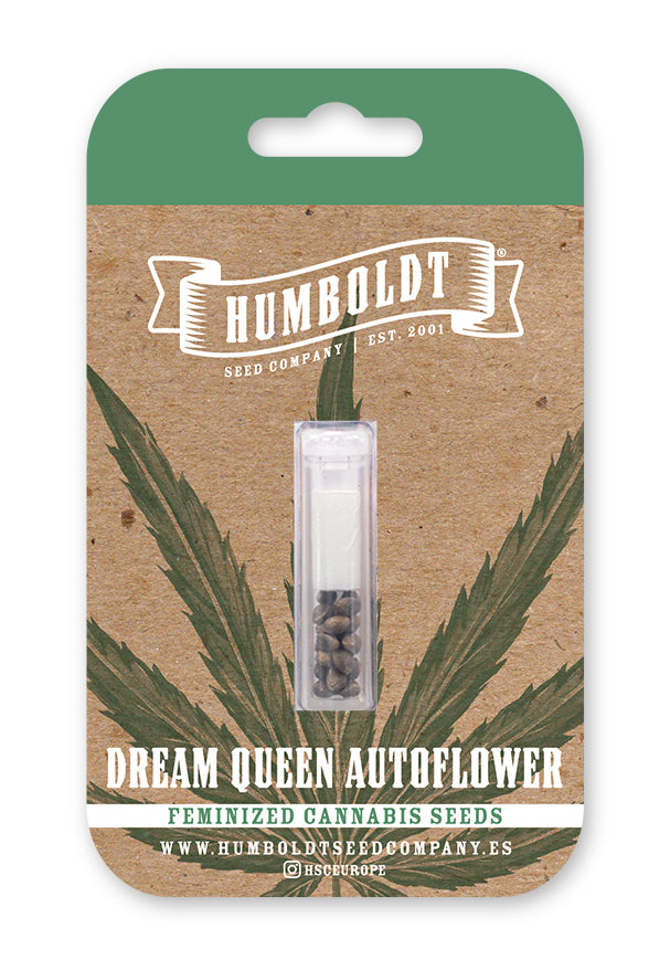 Dream Queen Auto - Humboldt Seed Company