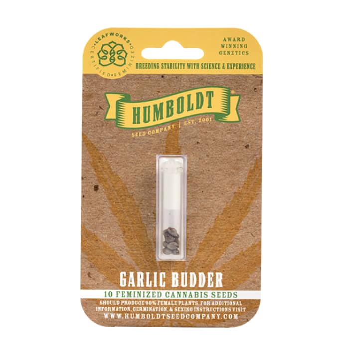 Garlic Budder - Humboldt Seed Company