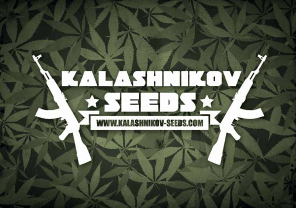 Kabul Express - KALASHNIKOV SEEDS