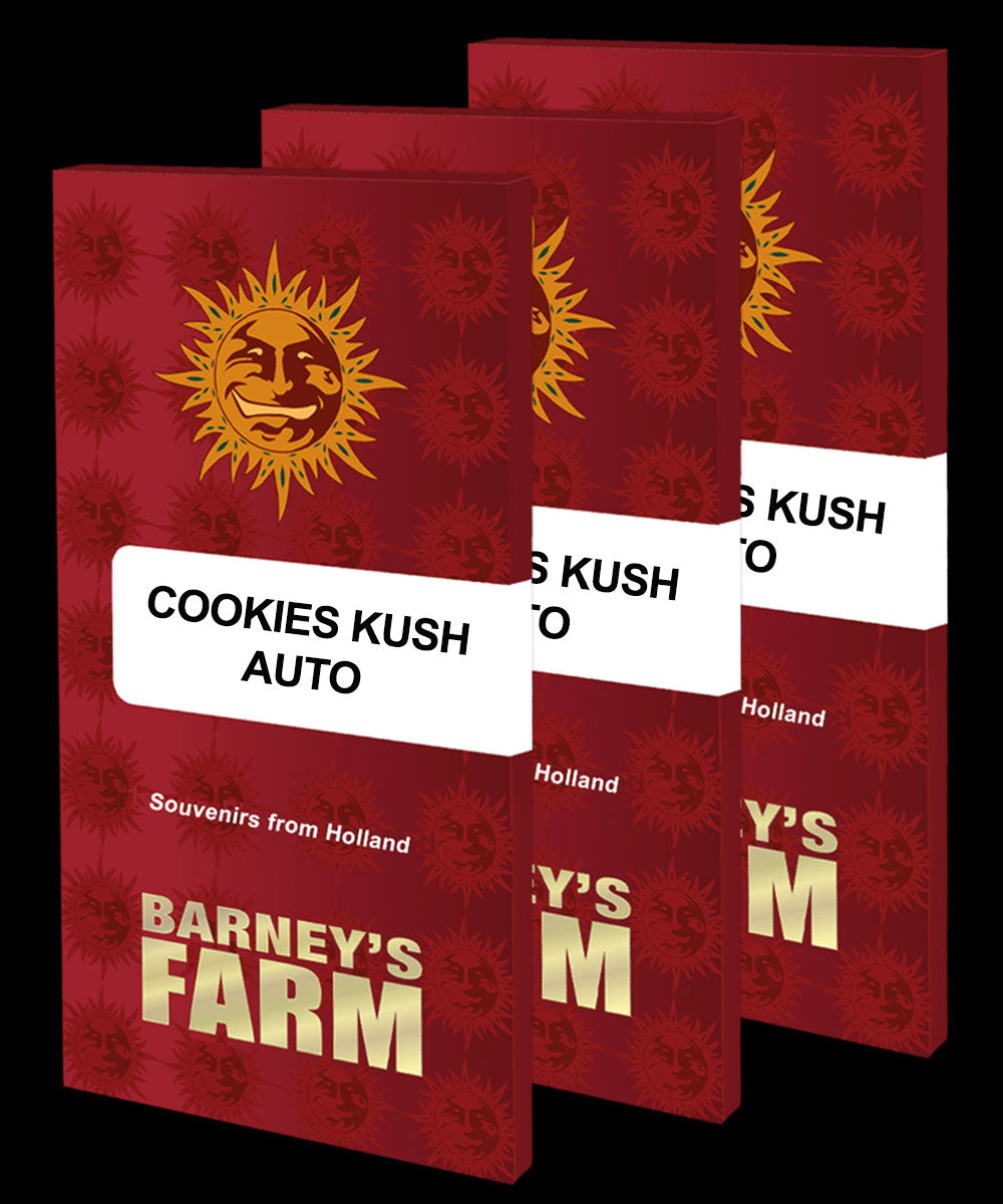 Cookies Kush Auto