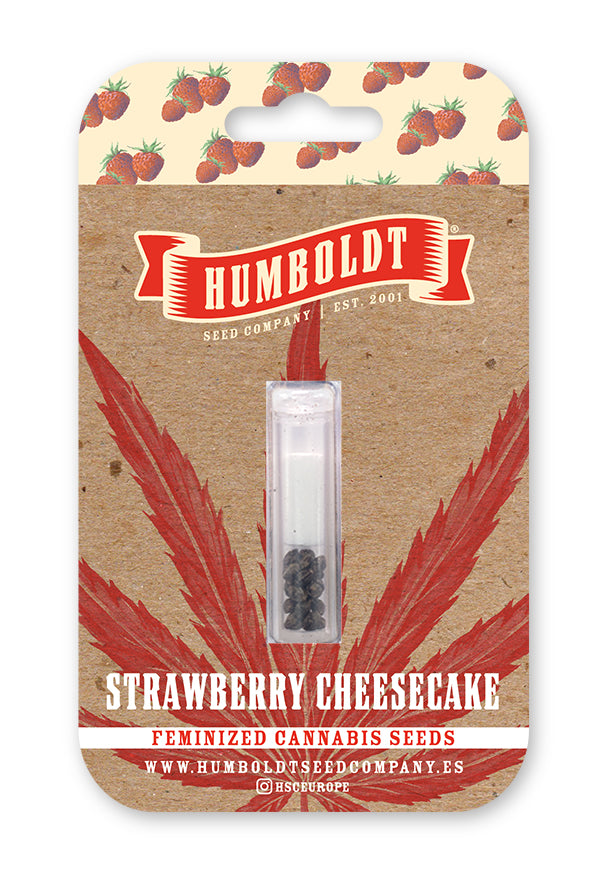 Strawberry Cheesecake Auto  - Humboldt Seed Company