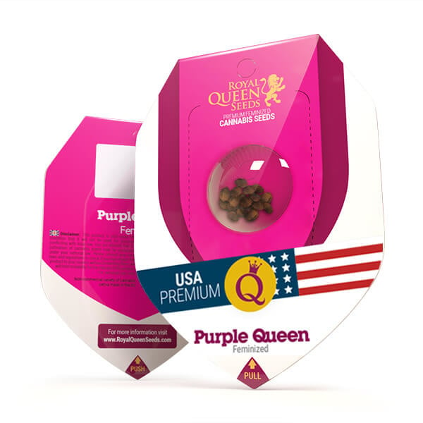 Purple Queen