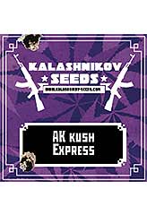 AK KUSH EXPRESS (KALASHNIKOV SEEDS) FEMINIZED
