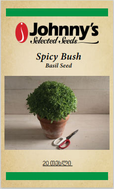 Spicy Bush Basil Seed