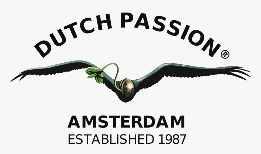 Blueberry Fem - Dutch Passion