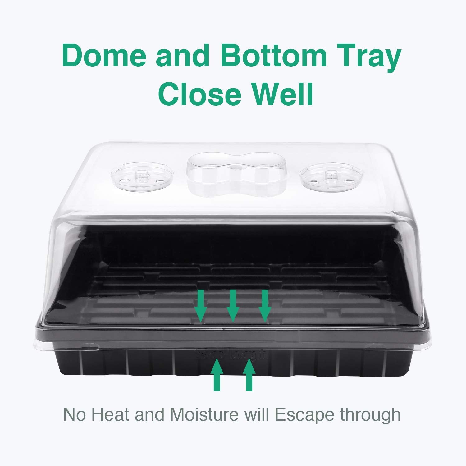 Plant Growing Trays with Humidity Domes