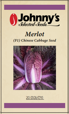 Chinese Cabbage - Merlot