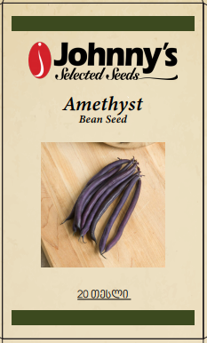 Amethyst Bean
