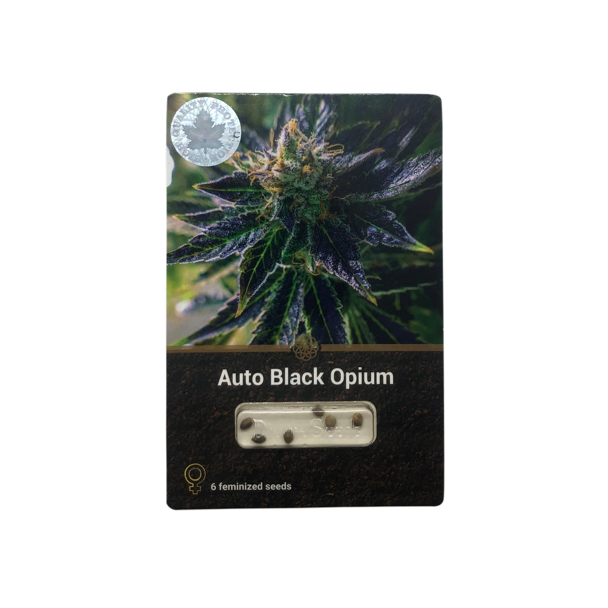 Auto Black Opium