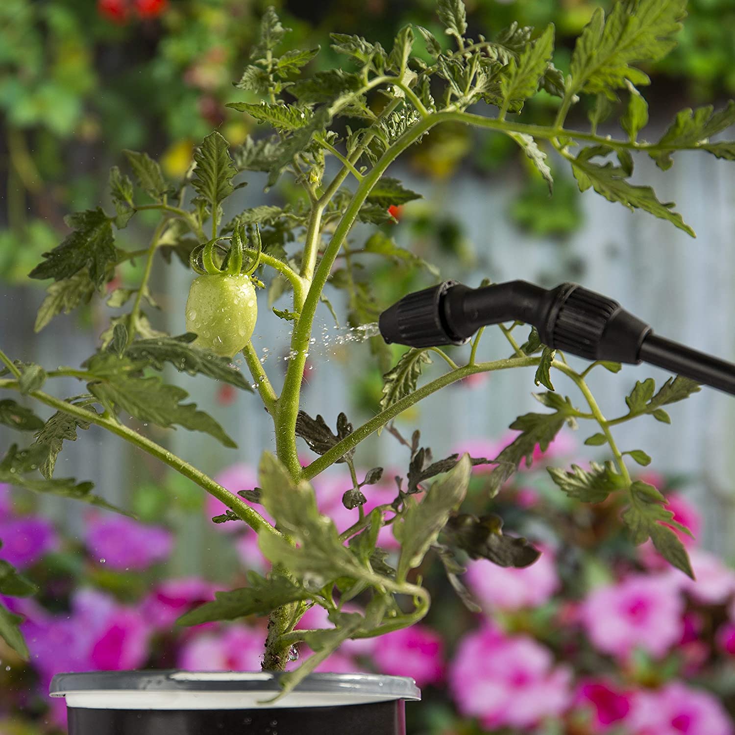 Garden Safe - Worm & Caterpillar Killer