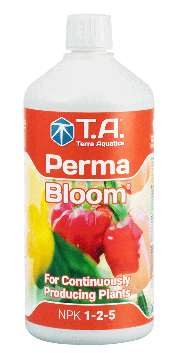 პერმა ბლუმი- Perma Bloom