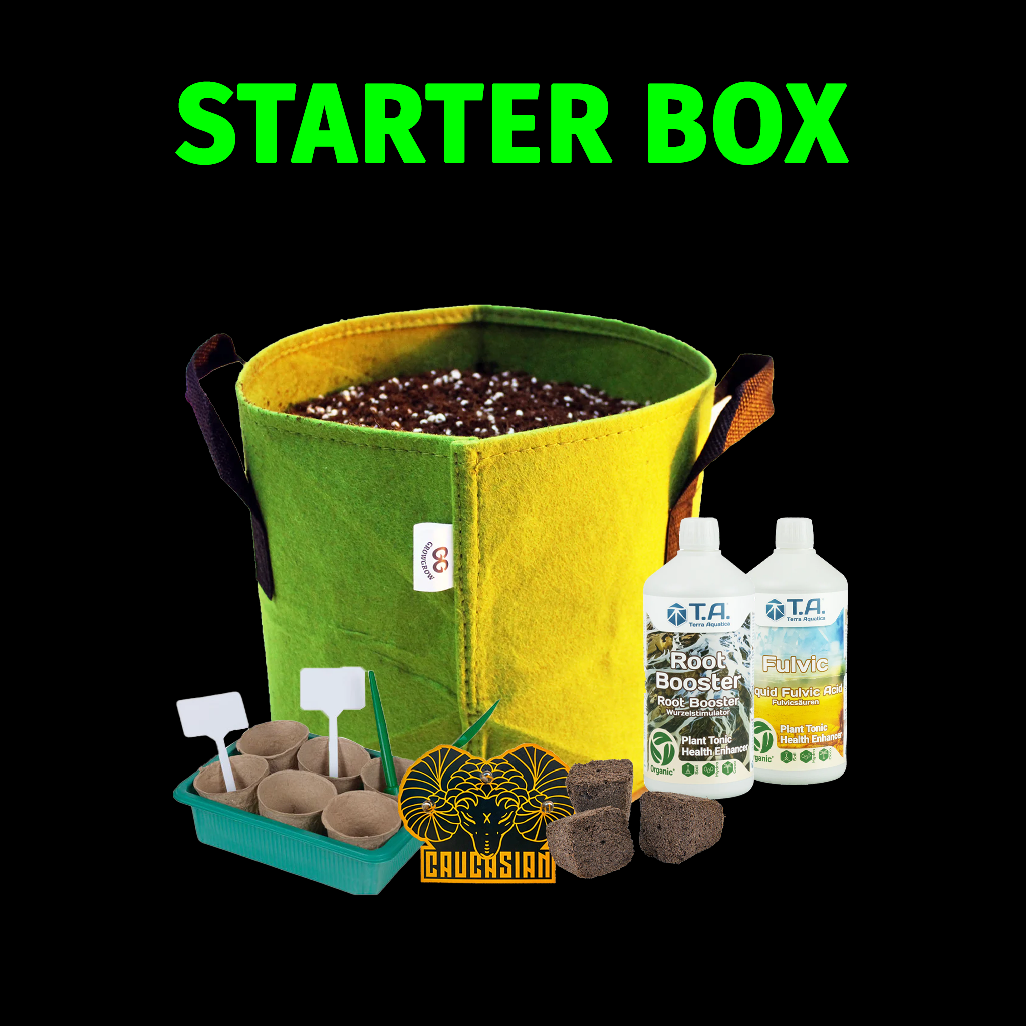 Starter Black Box - სტარტერ შავი ყუთი