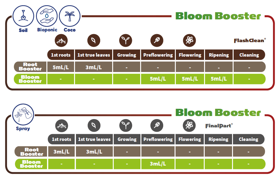 Bloom Booster - ბლუმ ბუსტერი