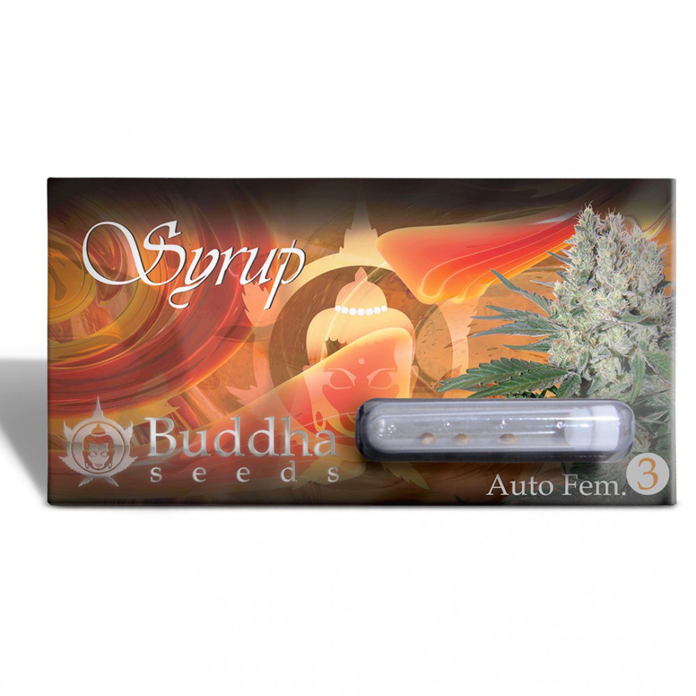 Buddha Syrup Auto