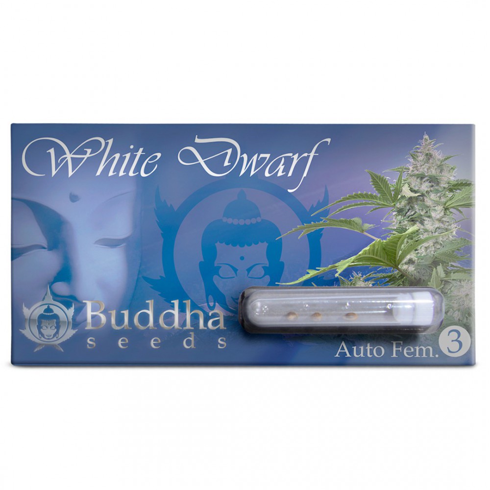 Buddha White Dwarf Auto