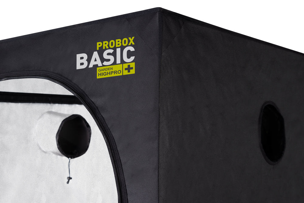 PROBOX BASIC