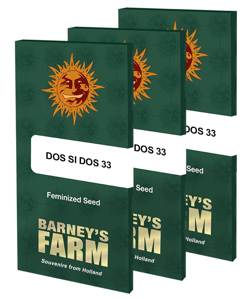 Dos Si Dos 33 - Barney's Farm