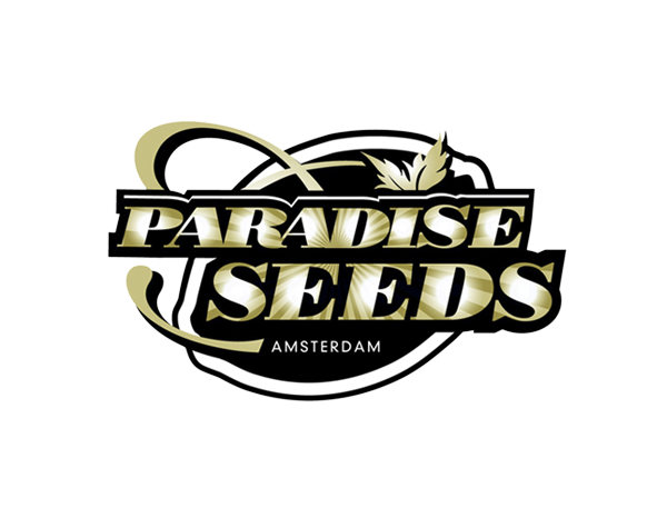 L.A Amnesia - Paradise Seeds