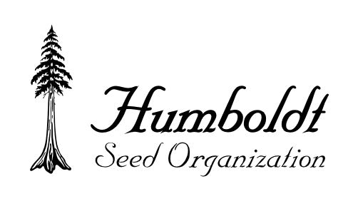 White Runtz - Humboldt Seeds
