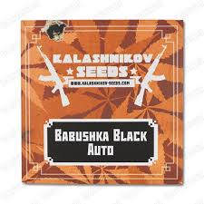 BABUSHKA BLACK AUTO (KALASHNIKOV SEEDS)