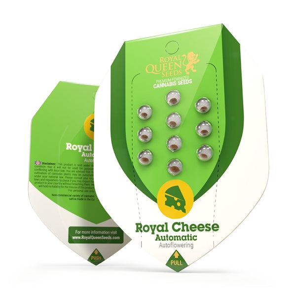 Royal Cheese Auto