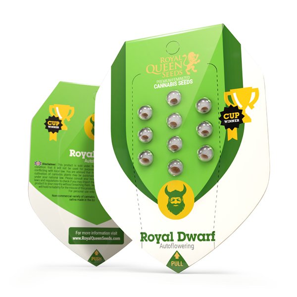 Royal Dwarf Automatic